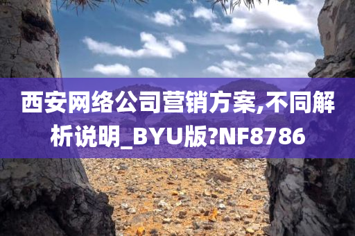 西安网络公司营销方案,不同解析说明_BYU版?NF8786