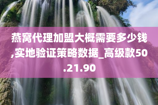 燕窝代理加盟大概需要多少钱,实地验证策略数据_高级款50.21.90