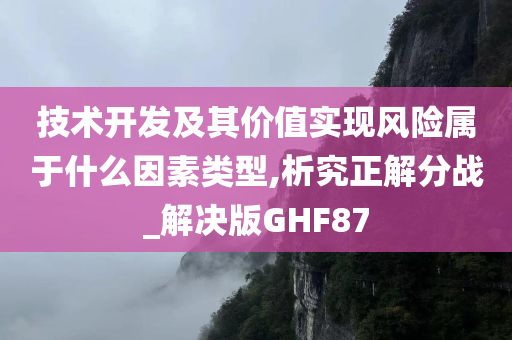 技术开发及其价值实现风险属于什么因素类型,析究正解分战_解决版GHF87