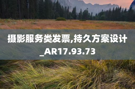 摄影服务类发票,持久方案设计_AR17.93.73