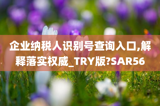 企业纳税人识别号查询入口,解释落实权威_TRY版?SAR56