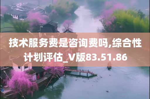 技术服务费是咨询费吗,综合性计划评估_V版83.51.86