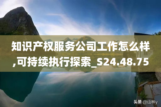 知识产权服务公司工作怎么样,可持续执行探索_S24.48.75