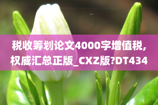 税收筹划论文4000字增值税,权威汇总正版_CXZ版?DT434