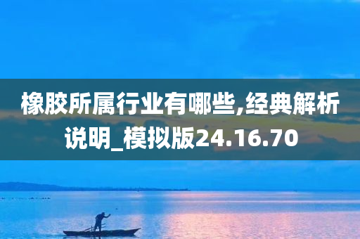 橡胶所属行业有哪些,经典解析说明_模拟版24.16.70