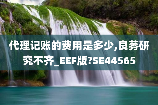 代理记账的费用是多少,良莠研究不齐_EEF版?SE44565