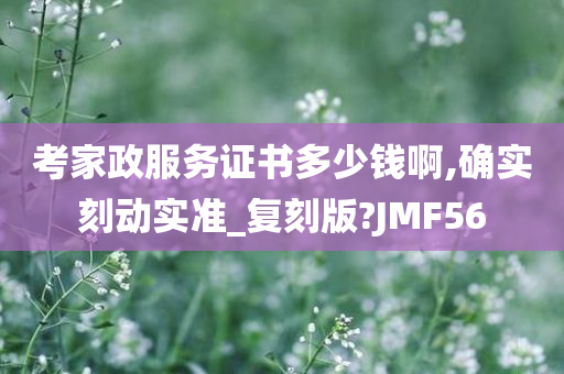 考家政服务证书多少钱啊,确实刻动实准_复刻版?JMF56