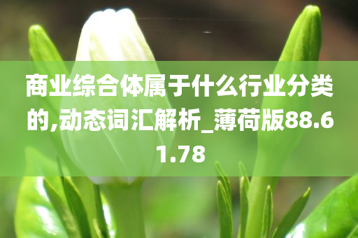 商业综合体属于什么行业分类的,动态词汇解析_薄荷版88.61.78