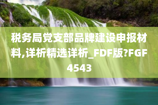 税务局党支部品牌建设申报材料,详析精选详析_FDF版?FGF4543