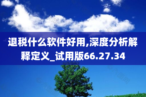 退税什么软件好用,深度分析解释定义_试用版66.27.34