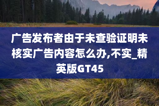 广告发布者由于未查验证明未核实广告内容怎么办,不实_精英版GT45