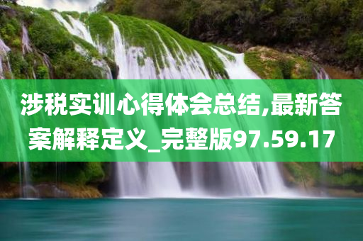 涉税实训心得体会总结,最新答案解释定义_完整版97.59.17