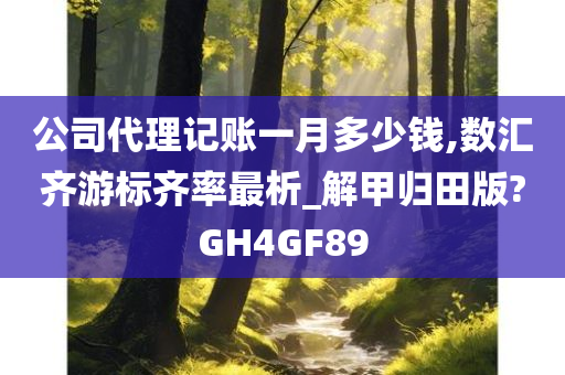 公司代理记账一月多少钱,数汇齐游标齐率最析_解甲归田版?GH4GF89