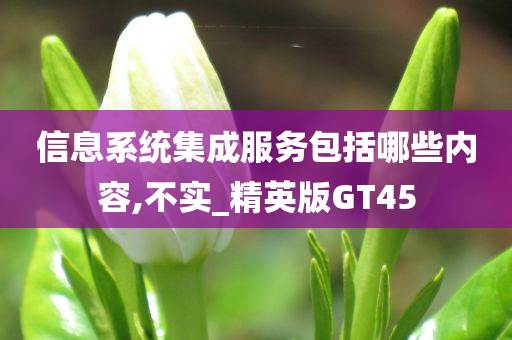 信息系统集成服务包括哪些内容,不实_精英版GT45