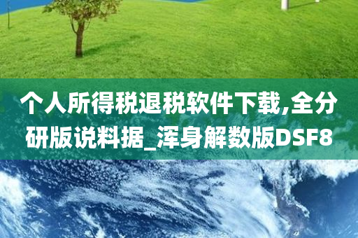 个人所得税退税软件下载,全分研版说料据_浑身解数版DSF8