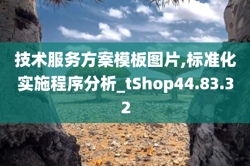 技术服务方案模板图片,标准化实施程序分析_tShop44.83.32