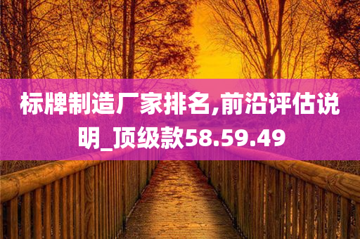 标牌制造厂家排名,前沿评估说明_顶级款58.59.49