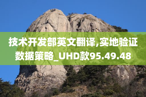 技术开发部英文翻译,实地验证数据策略_UHD款95.49.48