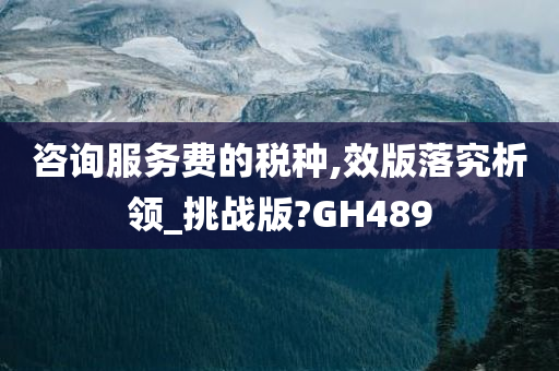 咨询服务费的税种,效版落究析领_挑战版?GH489