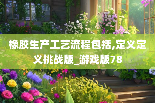 橡胶生产工艺流程包括,定义定义挑战版_游戏版78