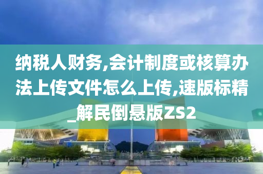 纳税人财务,会计制度或核算办法上传文件怎么上传,速版标精_解民倒悬版ZS2