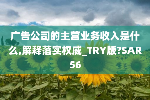 广告公司的主营业务收入是什么,解释落实权威_TRY版?SAR56