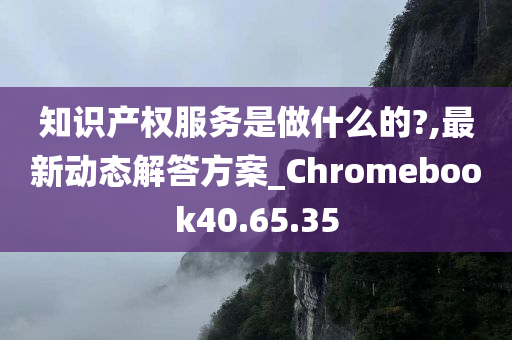 知识产权服务是做什么的?,最新动态解答方案_Chromebook40.65.35