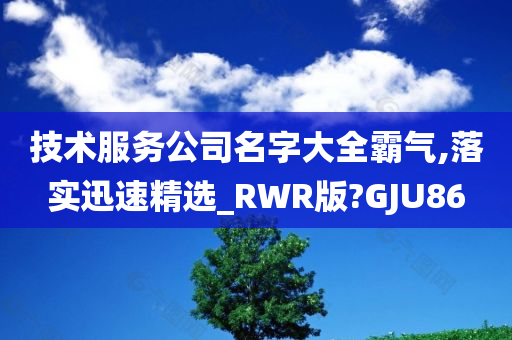 技术服务公司名字大全霸气,落实迅速精选_RWR版?GJU86