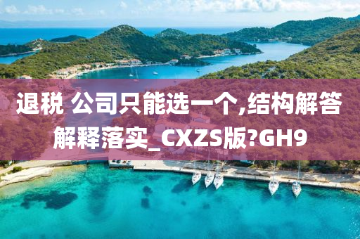 退税 公司只能选一个,结构解答解释落实_CXZS版?GH9