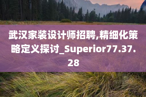 武汉家装设计师招聘,精细化策略定义探讨_Superior77.37.28