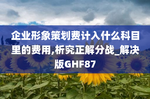 企业形象策划费计入什么科目里的费用,析究正解分战_解决版GHF87