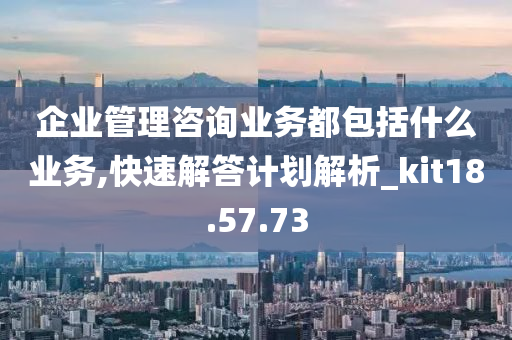 企业管理咨询业务都包括什么业务,快速解答计划解析_kit18.57.73