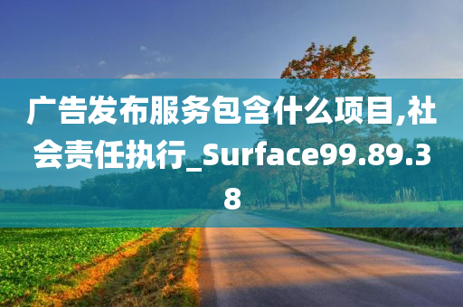 广告发布服务包含什么项目,社会责任执行_Surface99.89.38