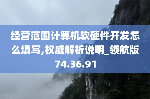 经营范围计算机软硬件开发怎么填写,权威解析说明_领航版74.36.91