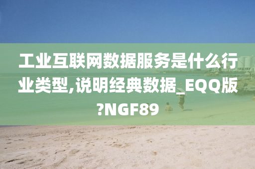 工业互联网数据服务是什么行业类型,说明经典数据_EQQ版?NGF89