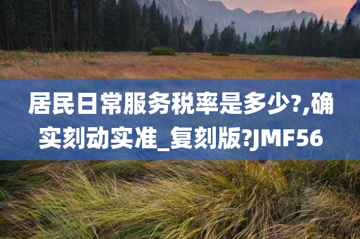 居民日常服务税率是多少?,确实刻动实准_复刻版?JMF56