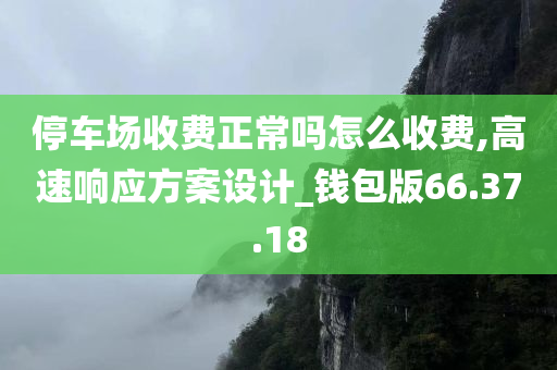 停车场收费正常吗怎么收费,高速响应方案设计_钱包版66.37.18