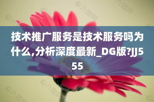 技术推广服务是技术服务吗为什么,分析深度最新_DG版?JJ555