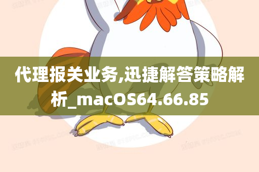 代理报关业务,迅捷解答策略解析_macOS64.66.85