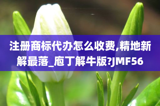 注册商标代办怎么收费,精地新解最落_庖丁解牛版?JMF56