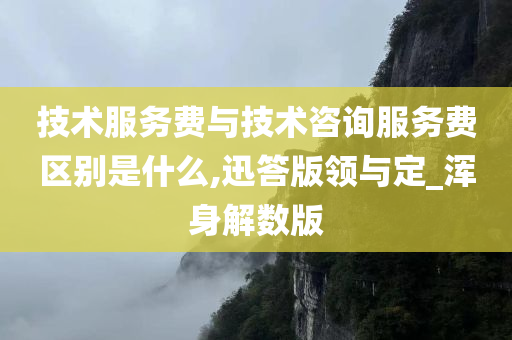 技术服务费与技术咨询服务费区别是什么,迅答版领与定_浑身解数版