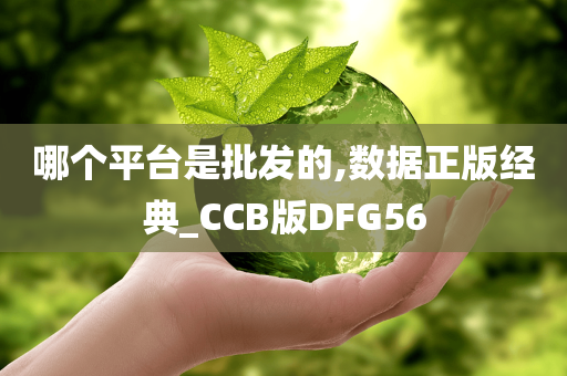 哪个平台是批发的,数据正版经典_CCB版DFG56