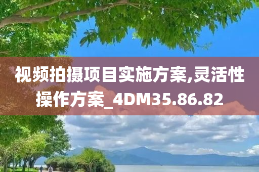 视频拍摄项目实施方案,灵活性操作方案_4DM35.86.82