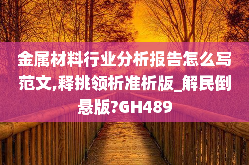 金属材料行业分析报告怎么写范文,释挑领析准析版_解民倒悬版?GH489