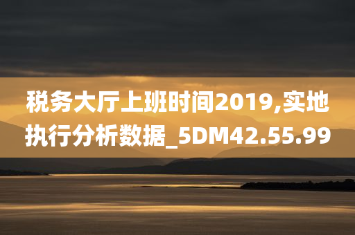 税务大厅上班时间2019,实地执行分析数据_5DM42.55.99