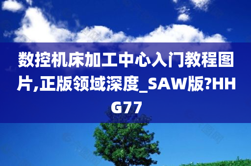 数控机床加工中心入门教程图片,正版领域深度_SAW版?HHG77