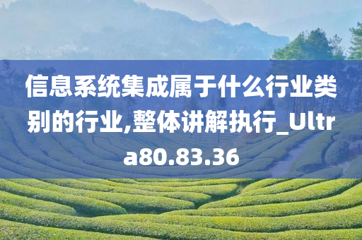 信息系统集成属于什么行业类别的行业,整体讲解执行_Ultra80.83.36