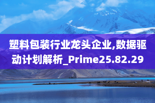 塑料包装行业龙头企业,数据驱动计划解析_Prime25.82.29