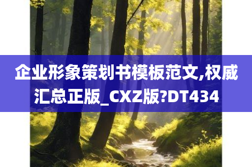 企业形象策划书模板范文,权威汇总正版_CXZ版?DT434