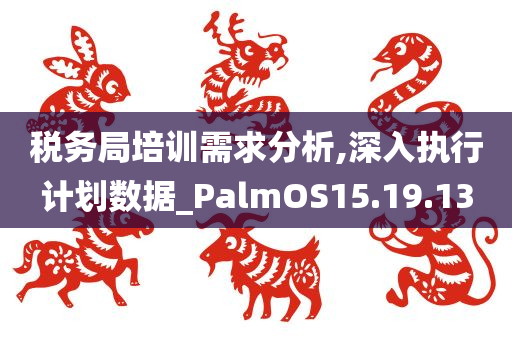 税务局培训需求分析,深入执行计划数据_PalmOS15.19.13